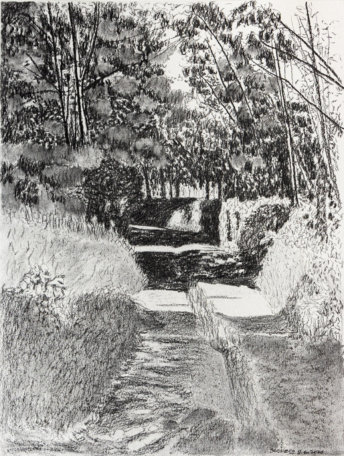 jardin - Barbiero © oeuvre mise en vente par L'Atelier Galerie des Alpilles