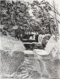 jardin - Barbiero © oeuvre mise en vente par L'Atelier Galerie des Alpilles
