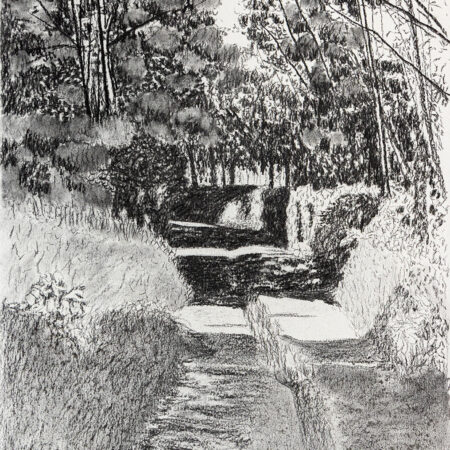 jardin - Barbiero © oeuvre mise en vente par L'Atelier Galerie des Alpilles