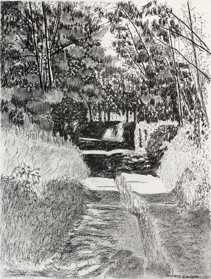 jardin - Barbiero © oeuvre mise en vente par L'Atelier Galerie des Alpilles