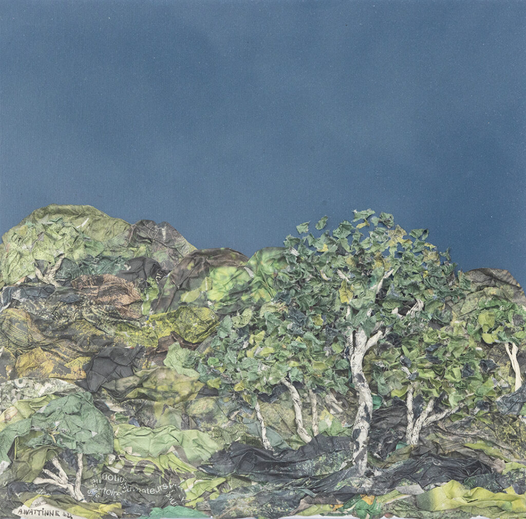 Mon travail sur les Alpilles - Antoine Wattinne © L'Atelier Galerie des Alpilles