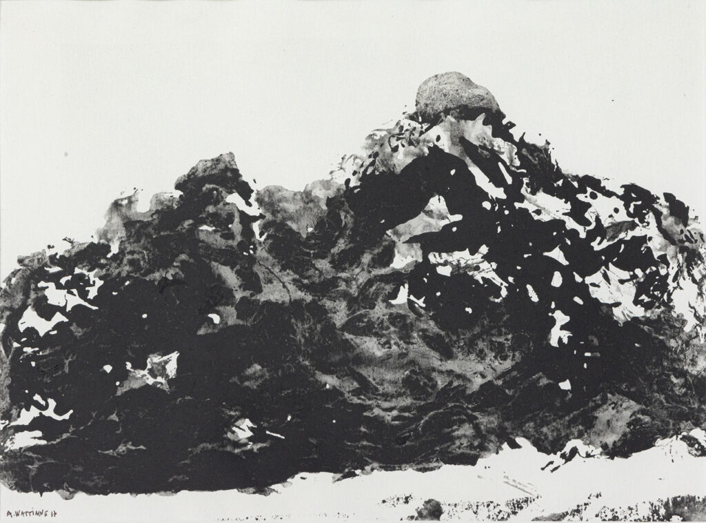 Mon travail sur les Alpilles - Antoine Wattinne © L'Atelier Galerie des Alpilles