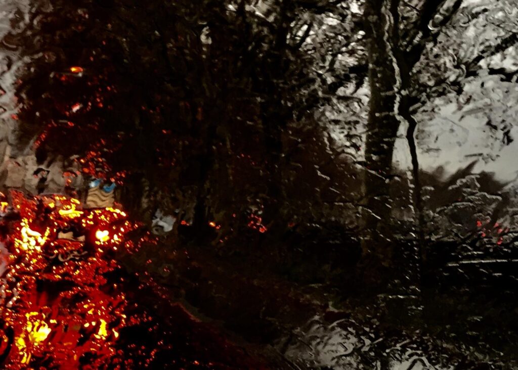 Mes photos i-phone - Antoine Wattinne © L'Atelier Galerie des Alpilles
