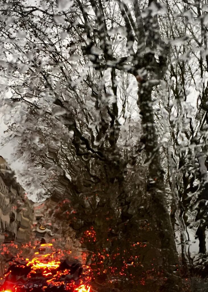 Mes photos i-phone - Antoine Wattinne © L'Atelier Galerie des Alpilles