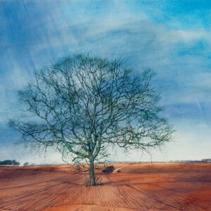Arbre en plaine - Ciry © Oeuvre mise en vente par L'Atelier Galerie des Alpilles
