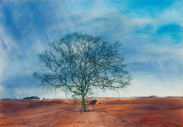 Arbre en plaine - Ciry © Oeuvre mise en vente par L'Atelier Galerie des Alpilles
