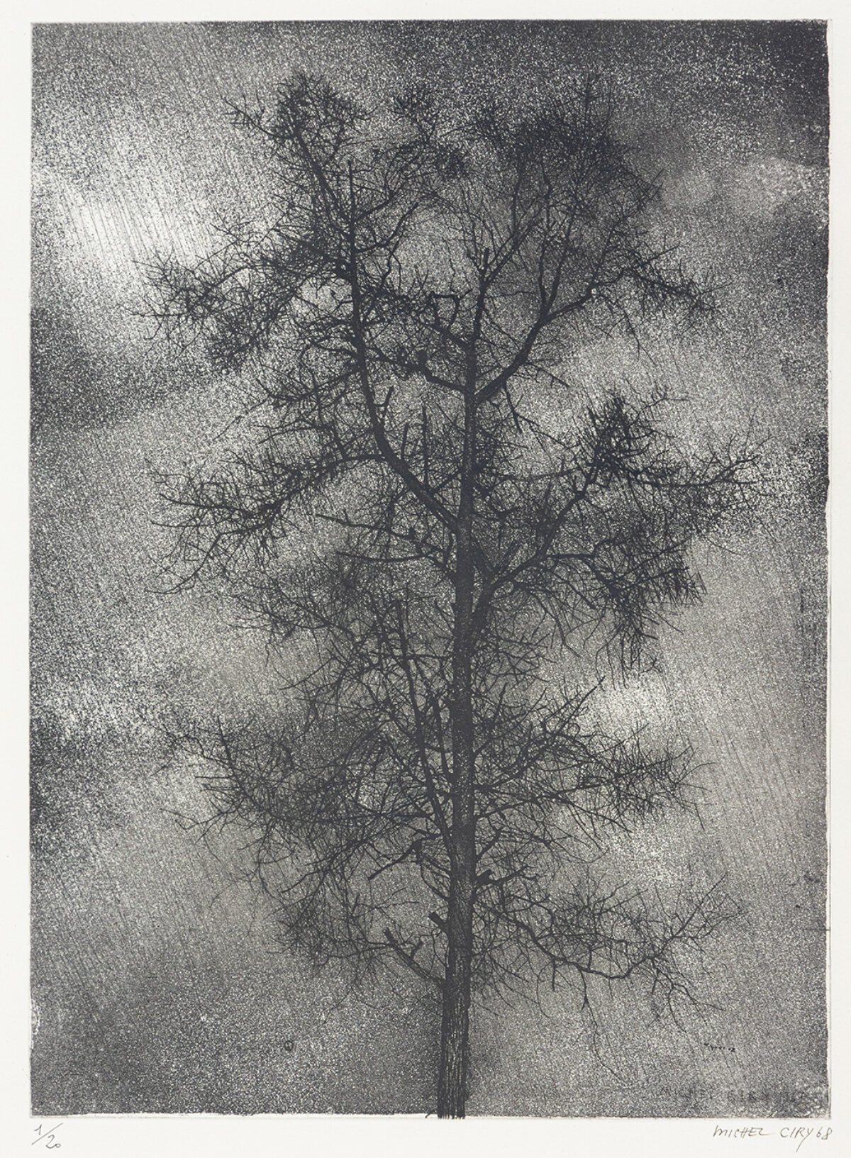 Arbre - Ciry © Oeuvre mise en vente par L'Atelier Galerie des Alpilles