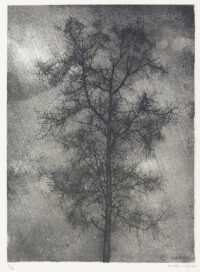 Arbre - Ciry © Oeuvre mise en vente par L'Atelier Galerie des Alpilles