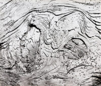 Ecorse - Clergue © Oeuvre mise en vente par L'Atelier Galerie des Alpilles
