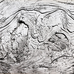 Ecorse - Clergue © Oeuvre mise en vente par L'Atelier Galerie des Alpilles