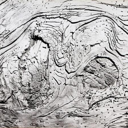 Ecorse - Clergue © Oeuvre mise en vente par L'Atelier Galerie des Alpilles