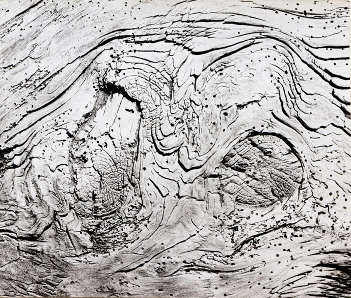 Ecorse - Clergue © Oeuvre mise en vente par L'Atelier Galerie des Alpilles