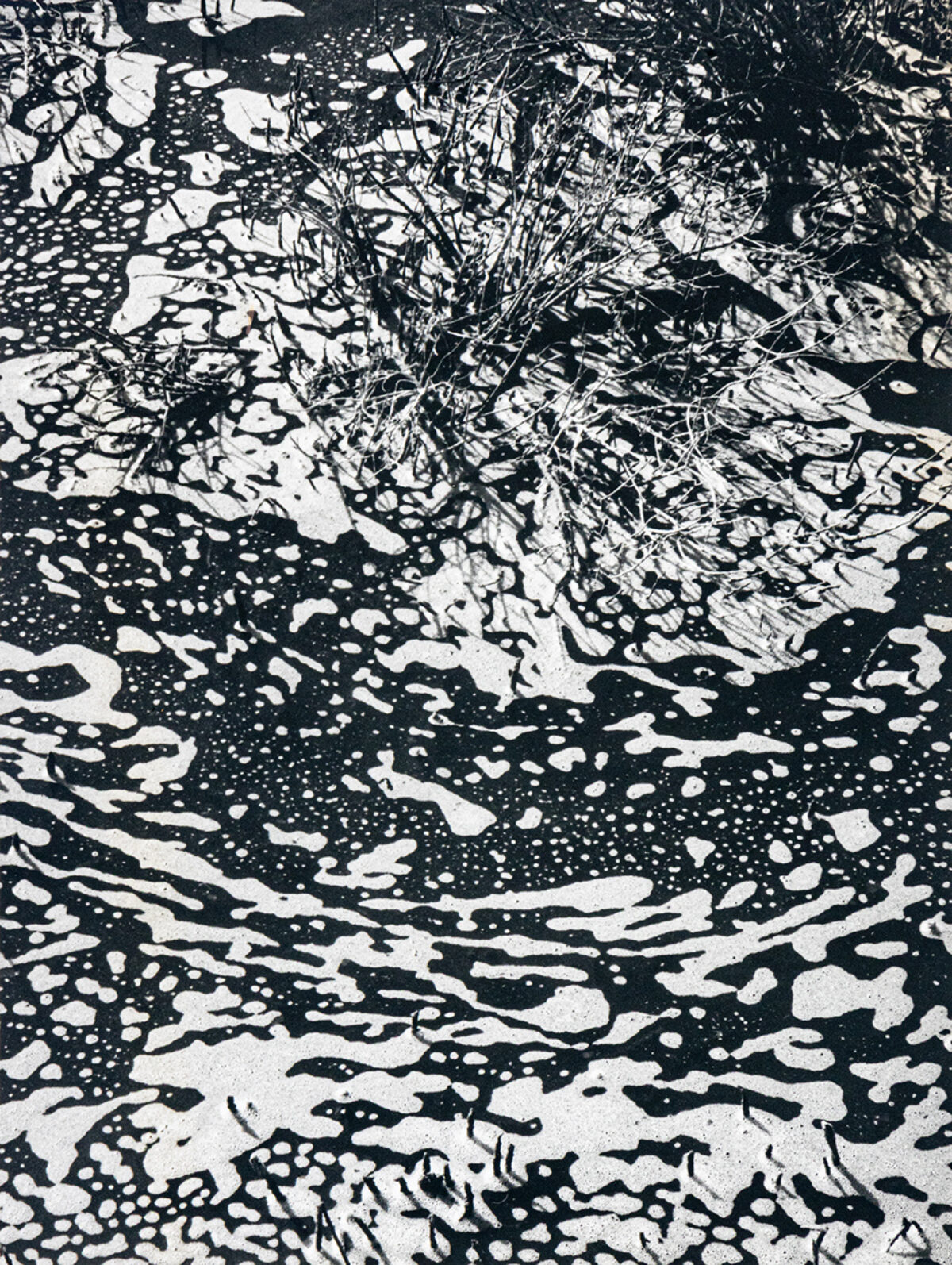Vague dans les algues - Clergue © Oeuvre mise en vente par L'Atelier Galerie des Alpilles