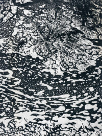 Vague dans les algues - Clergue © Oeuvre mise en vente par L'Atelier Galerie des Alpilles