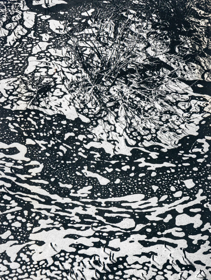 Vague dans les algues - Clergue © Oeuvre mise en vente par L'Atelier Galerie des Alpilles