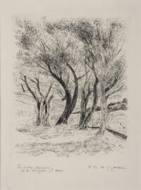 Les vieux oliviers - Dunoyer-de-Segonzac © Oeuvre mise en vente par L'Atelier Galerie des Alpilles