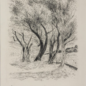 Les vieux oliviers - Dunoyer-de-Segonzac © Oeuvre mise en vente par L'Atelier Galerie des Alpilles