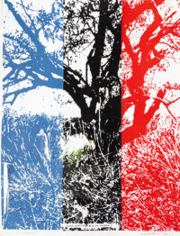 Arbre - Fischer © Oeuvre mise en vente par L'Atelier Galerie des Alpilles