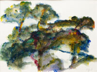 Le chêne rouge - Hollan © Oeuvre mise en vente par L'Atelier Galerie des Alpilles