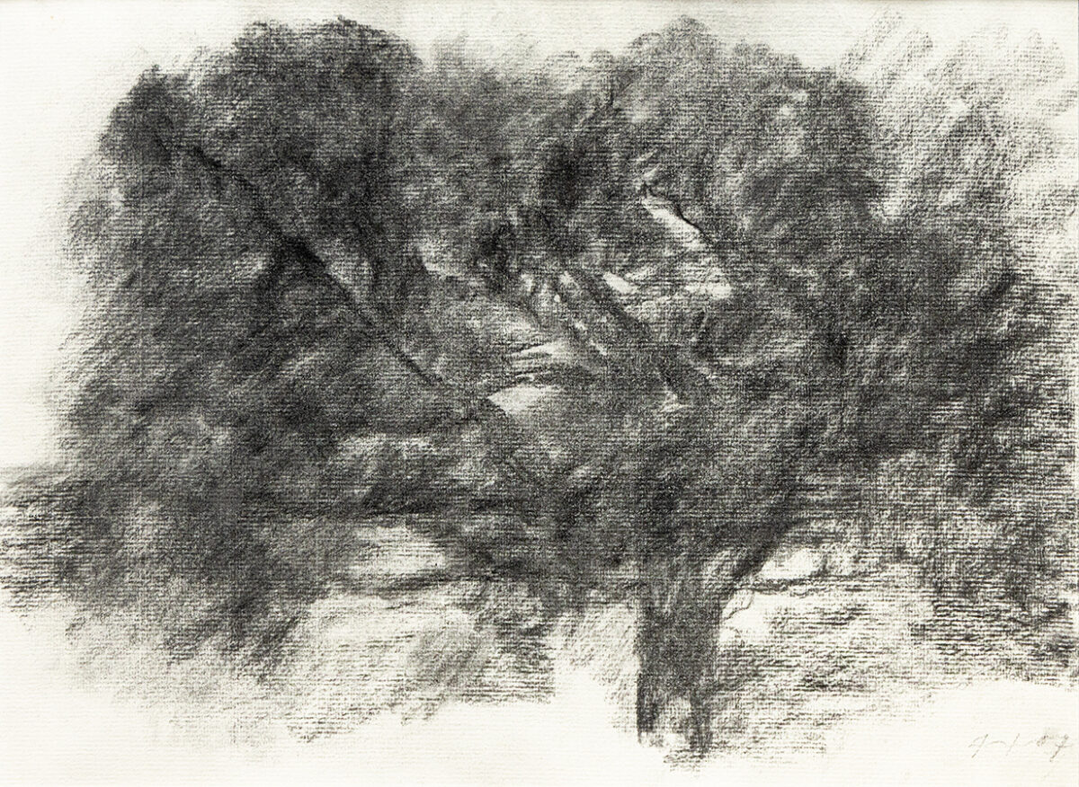 Chêne - Hollan © Oeuvre mise en vente par L'Atelier Galerie des Alpilles