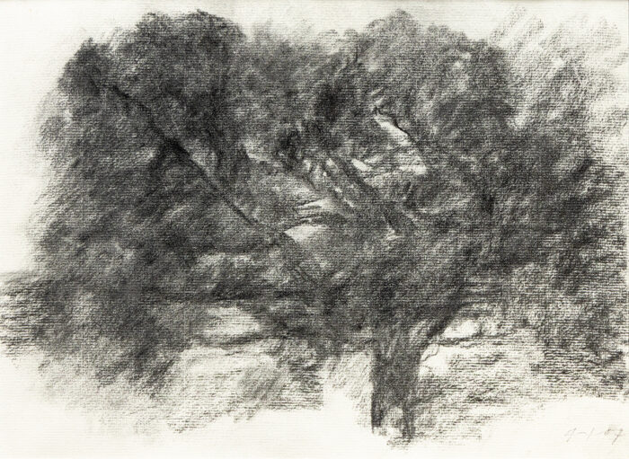Chêne - Hollan © Oeuvre mise en vente par L'Atelier Galerie des Alpilles