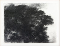 Chêne - Hollan © Oeuvre mise en vente par L'Atelier Galerie des Alpilles