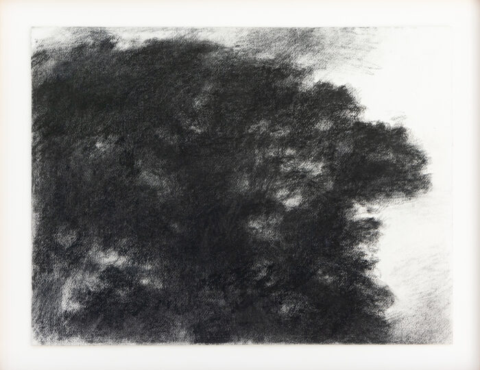 Chêne - Hollan © Oeuvre mise en vente par L'Atelier Galerie des Alpilles