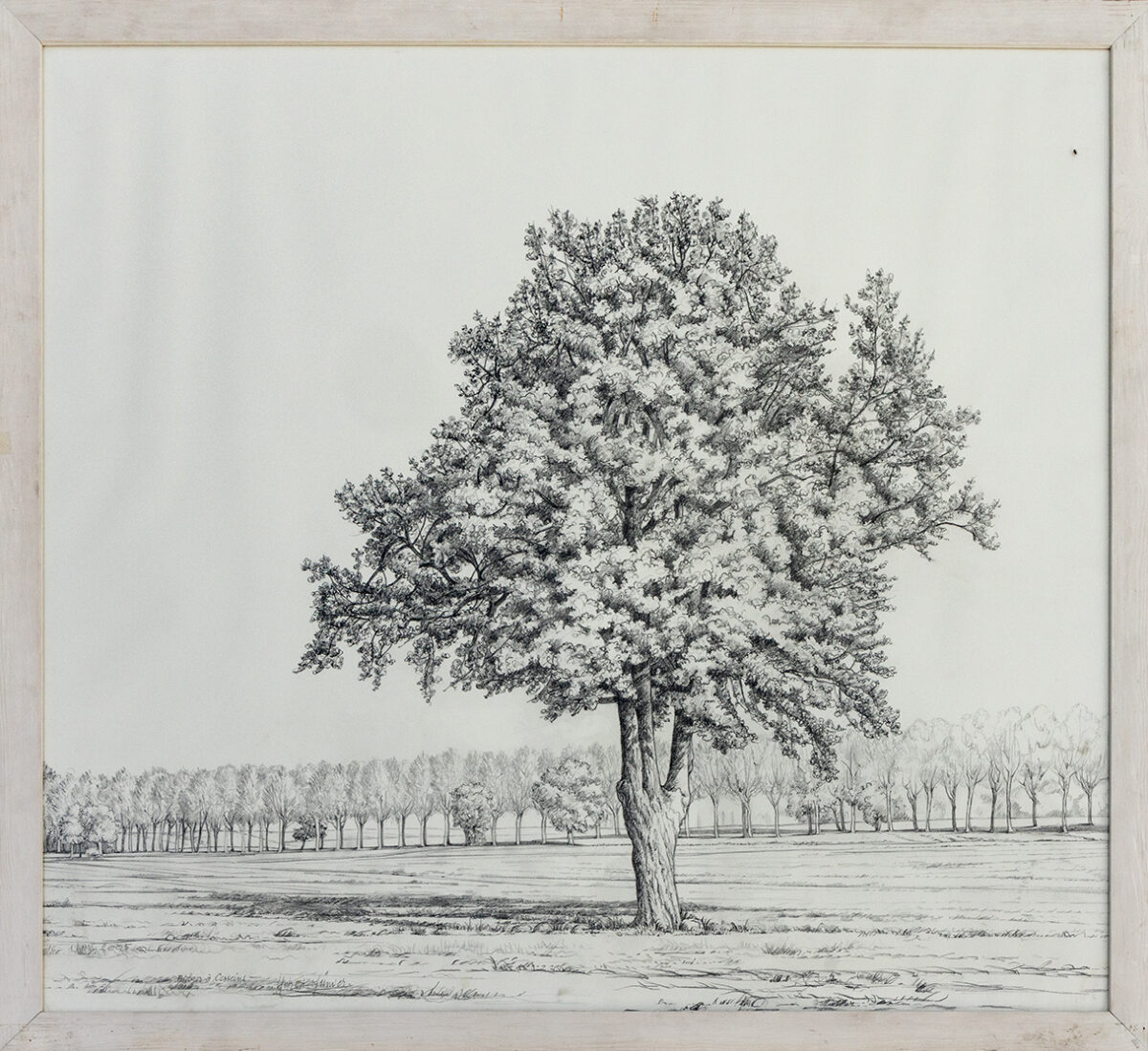 Arbre solitaire - Munier - ©Oeuvre mise en vente par L'Atelier Galerie des Alpilles