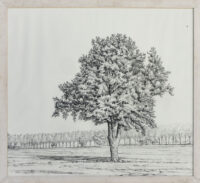 Arbre solitaire - Munier - ©Oeuvre mise en vente par L'Atelier Galerie des Alpilles