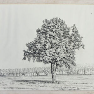 Arbre solitaire - Munier - ©Oeuvre mise en vente par L'Atelier Galerie des Alpilles