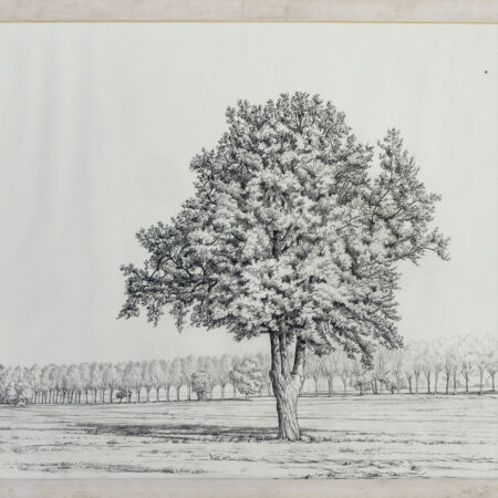 Arbre solitaire - Munier - ©Oeuvre mise en vente par L'Atelier Galerie des Alpilles