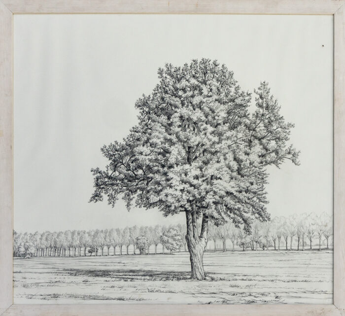 Arbre solitaire - Munier - ©Oeuvre mise en vente par L'Atelier Galerie des Alpilles
