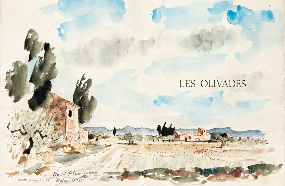 les olivades - Oudot - ©Oeuvre mise en vente par L'Atelier Galerie des Alpilles