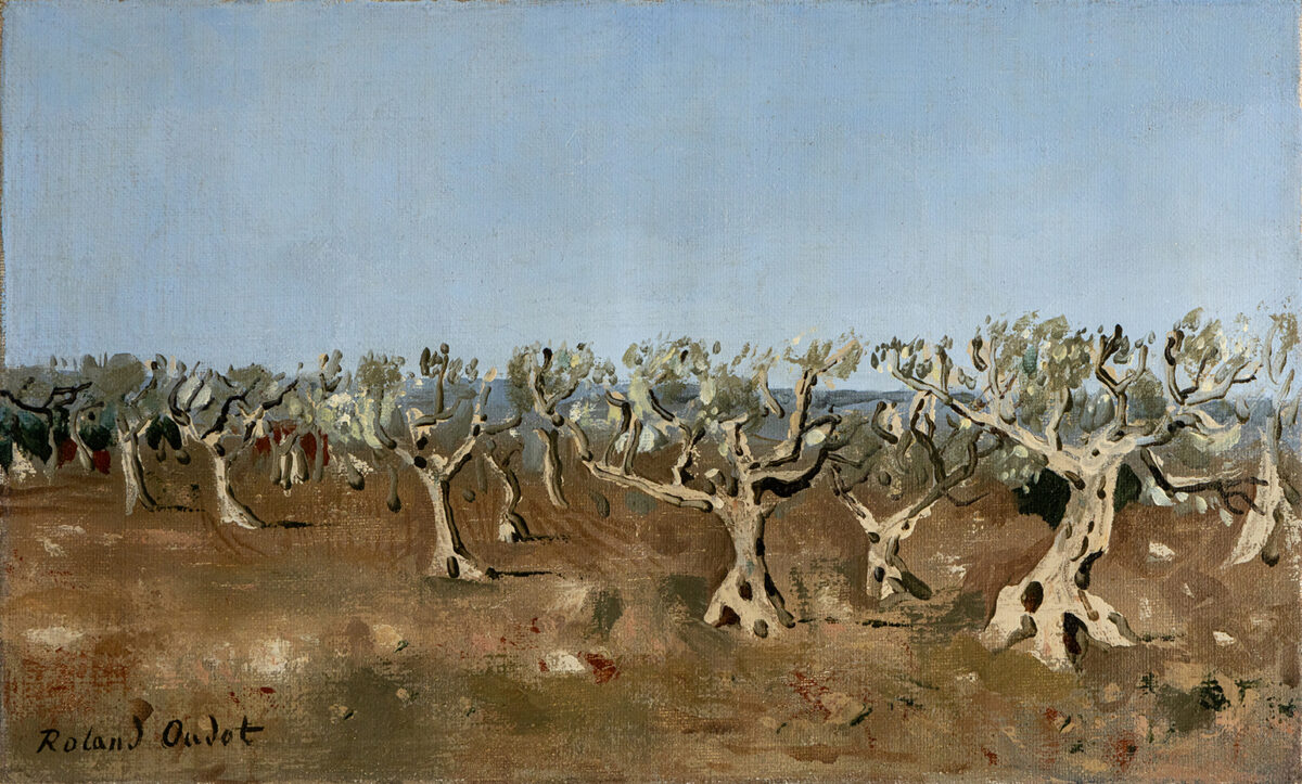 Le champs d'oliviers - Oudot - ©Oeuvre mise en vente par L'Atelier Galerie des Alpilles