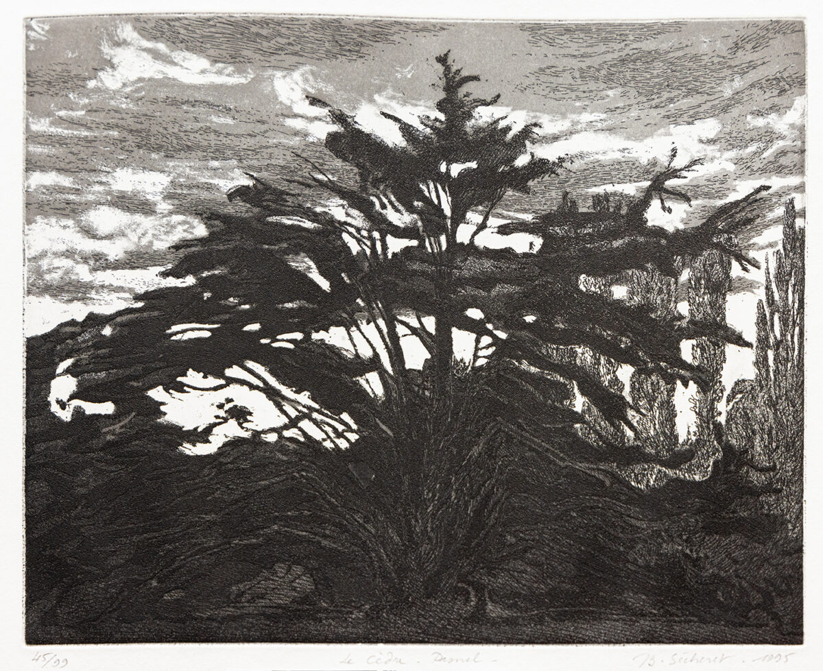 Le grand cèdre - Jean-Baptiste Sécheret ©Oeuvre mise en vente par L'Atelier Galerie des Alpilles