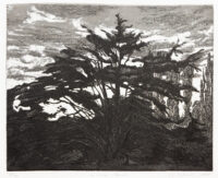 Le grand cèdre - Jean-Baptiste Sécheret ©Oeuvre mise en vente par L'Atelier Galerie des Alpilles