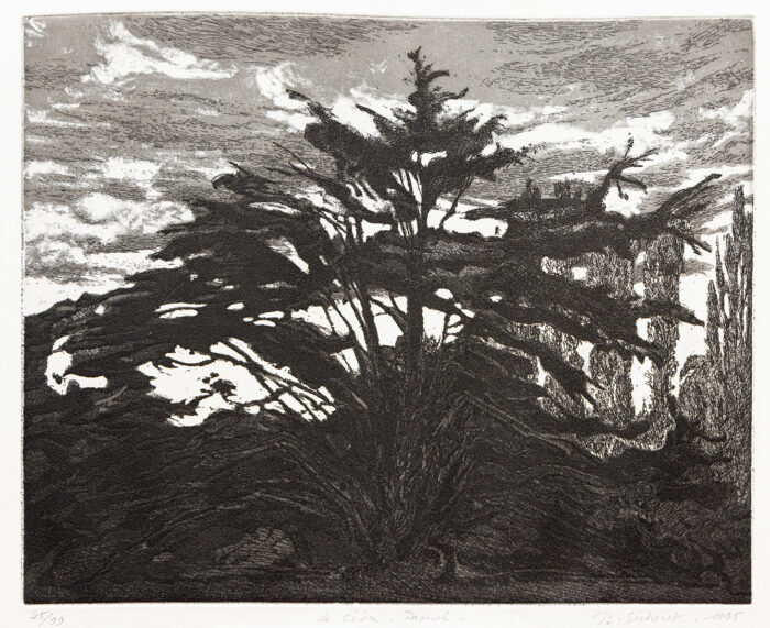 Le grand cèdre - Jean-Baptiste Sécheret ©Oeuvre mise en vente par L'Atelier Galerie des Alpilles