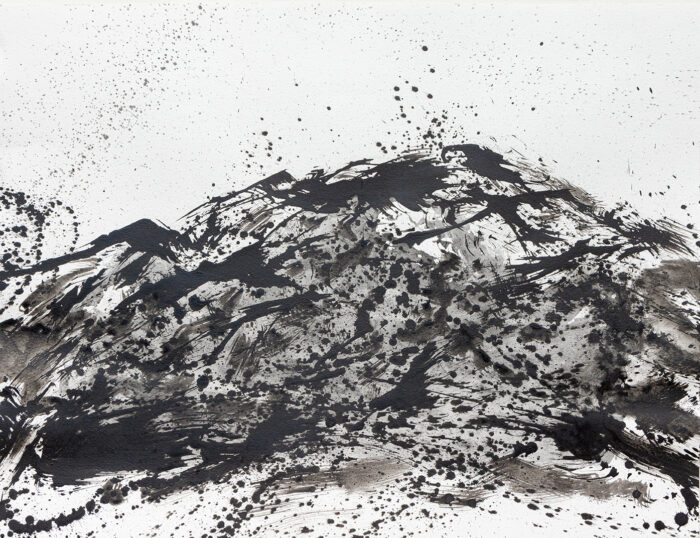 Alpilles - Antoine Wattinne - ©Oeuvre mise en vente par L'Atelier Galerie des Alpilles